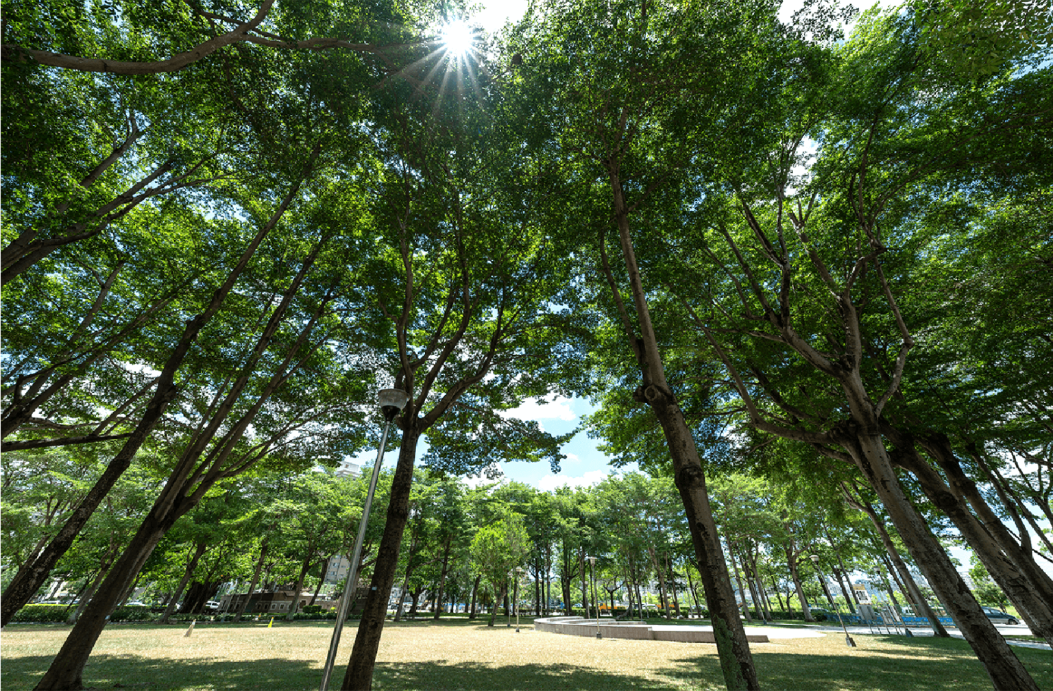 豐富公園