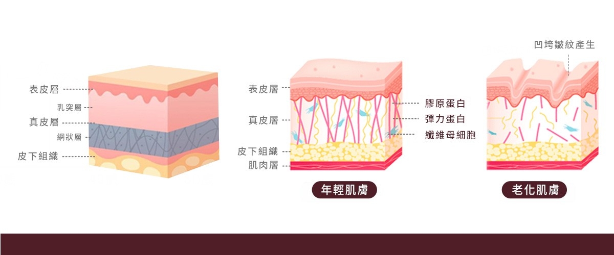 安珀琢玉 索夫波